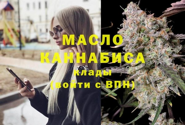 хмурый Арсеньев
