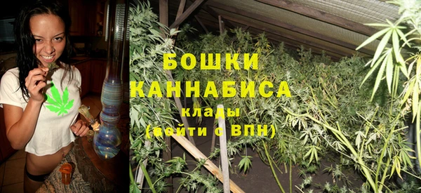хмурый Арсеньев
