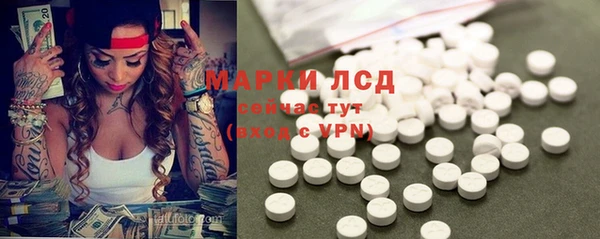 хмурый Арсеньев