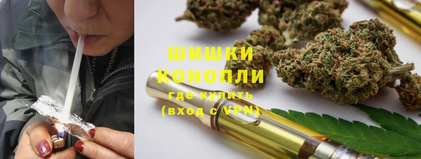 хмурый Арсеньев