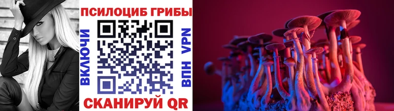 купить   дарк нет телеграм  blacksprut вход  Галлюциногенные грибы Psilocybe  Каменск-Уральский 