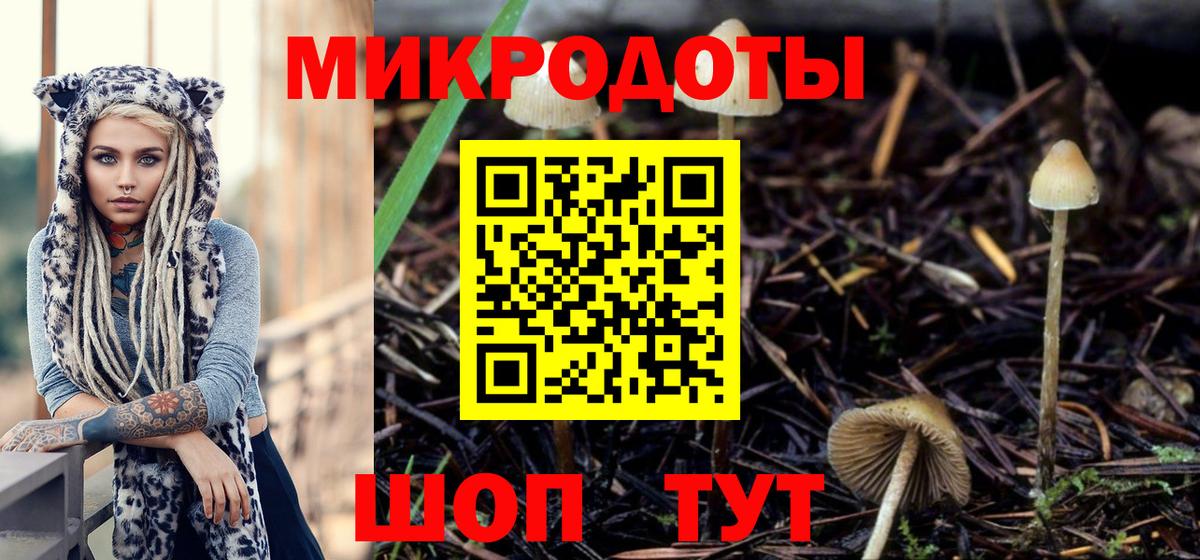 Псилоцибиновые грибы Psilocybine cubensis Каменск-Уральский